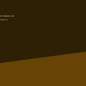 Peanut Butter Crackers 40ct