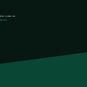 Multi‑Surface Cleaner 1gal