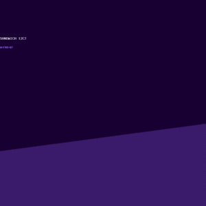 Breakfast Sandwich 12ct