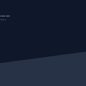 Paper Lunch Bags 500ct